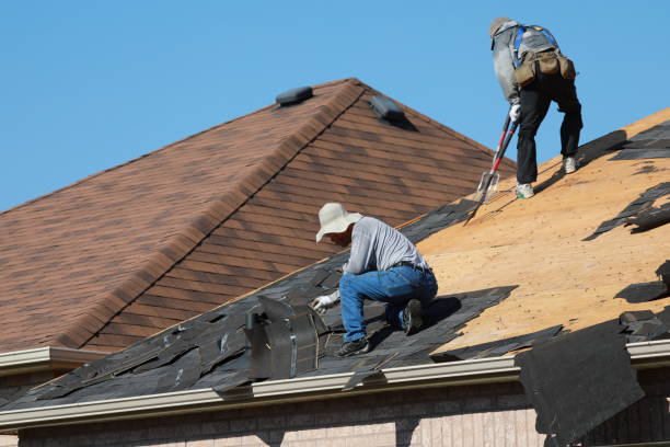 Best Metal Roofing Installation  in Thornton, CO