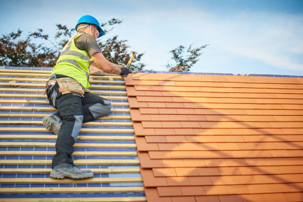 Best Solar Panel Roofing Installation  in Thornton, CO